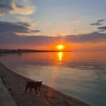 Apartment Swallow's Nest Vir