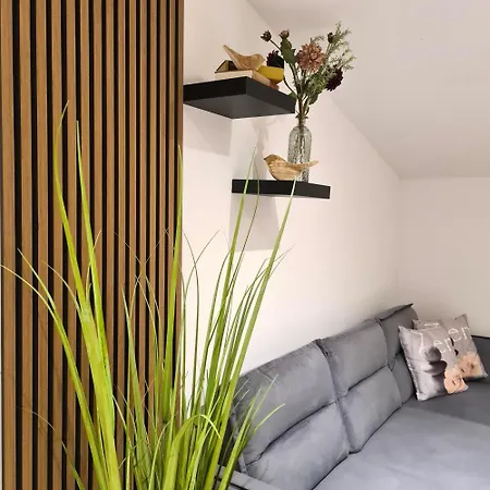 Swallow's Nest Apartament *