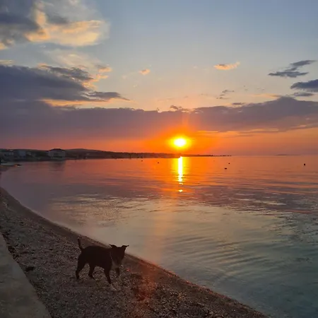 Apartment Swallow's Nest Vir