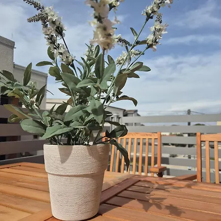 Apartment Swallow's Nest *